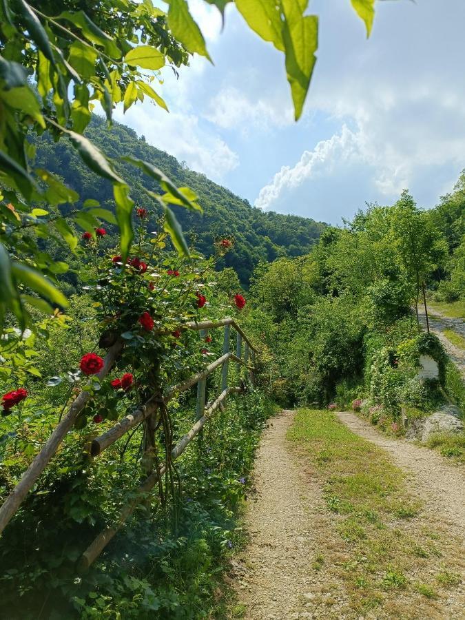 Boutique Apartment Alla Dolce Vita Vicenza Kültér fotó